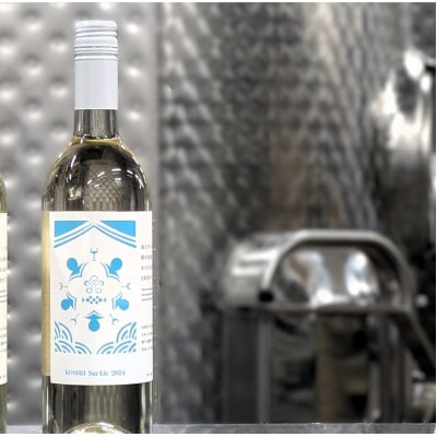 【南三陸ワイナリー】KOSHU Sur Lie 2024　甲州シュール・リー(白・辛口)