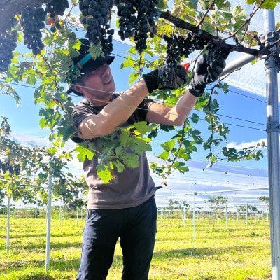 【南三陸ワイナリー】MERLOT / CABERNET SAUVIGNON 2023