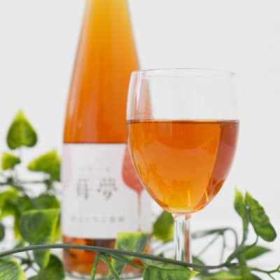 山元いちご農園 いちごスパークリングワイン 苺夢(べりーむ) 500ml