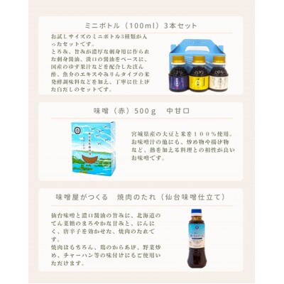 【ブルーインパルスデザインパッケージ】調味料お試しセット