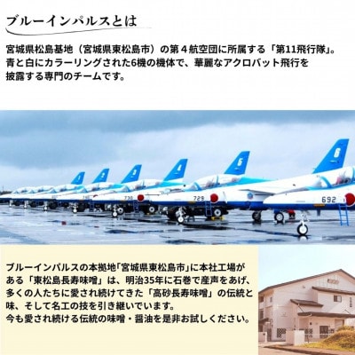 【ブルーインパルスデザインパッケージ】調味料お試しセット