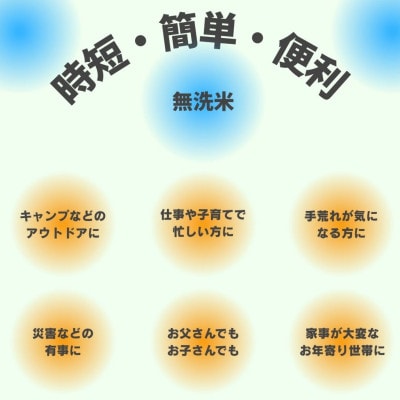 令和6年産【宮城県産】ひとめぼれ無洗米2kg×2　計4kg