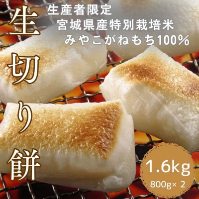 生産者限定【特別栽培米みやこがね】　生切り餅800g×2　計1.6kg