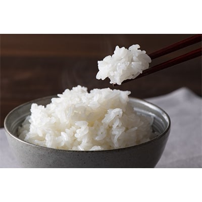 2023年6月発送開始『定期便』【精米】宮城県産ササニシキ無洗米5kg 全6回