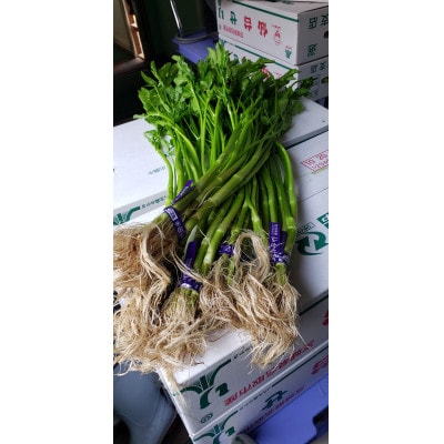 仙臺セリ鍋
