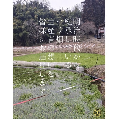 宮城県産森林どりを使った仙臺セリ鍋(3～4人前)