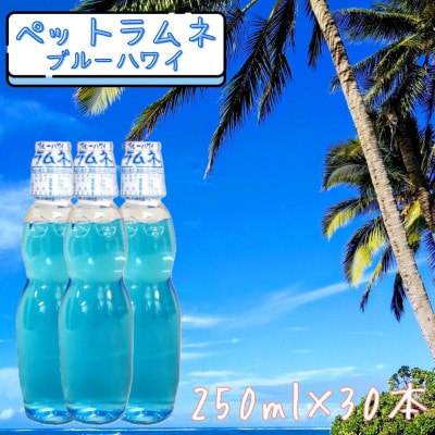 【なつかしい味】ペットラムネ　ブルーハワイ(250ml×30本)