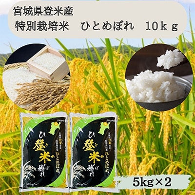 【令和7年産】宮城県登米市産　特別栽培米ひとめぼれ10kg(5kg×2)