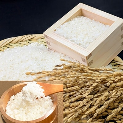 【令和7年産】宮城県登米市産　特別栽培米ひとめぼれ10kg(5kg×2)