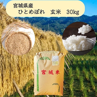 【令和7年産】宮城県産ひとめぼれ玄米　30kg