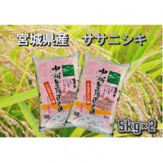 【令和5年産】宮城県産 ササニシキ 精米 10kg(5kg&times;2)