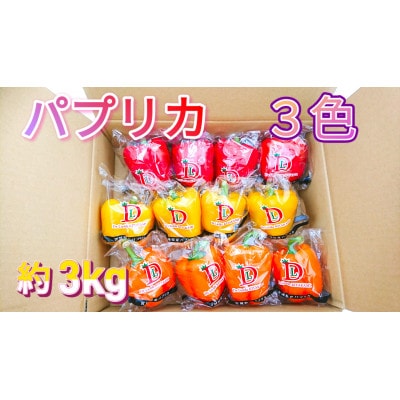 【宮城県産】パプリカ(赤・黄・橙)12玉　約3kg