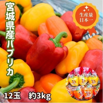 【宮城県産】パプリカ(赤・黄・橙)12玉 約3kg