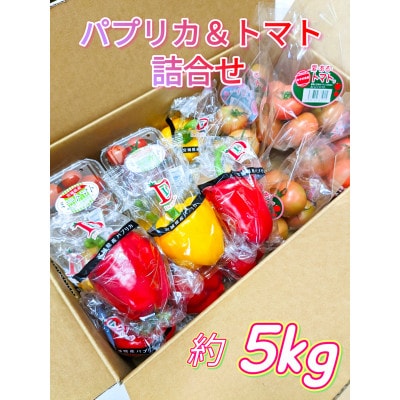 【宮城県産】パプリカ・トマト詰合わせセット