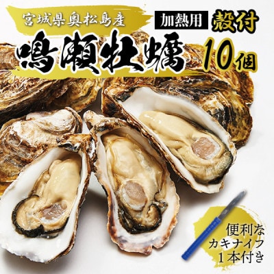 【先行受付】奥松島のブランド牡蠣 後藤水産の『鳴瀬牡蠣』殻付き(加熱用)10個 カキナイフ1本付き