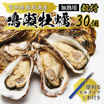 【先行受付】奥松島のブランド牡蠣 後藤水産の『鳴瀬牡蠣』殻付き(加熱用)30個 カキナイフ1本付き