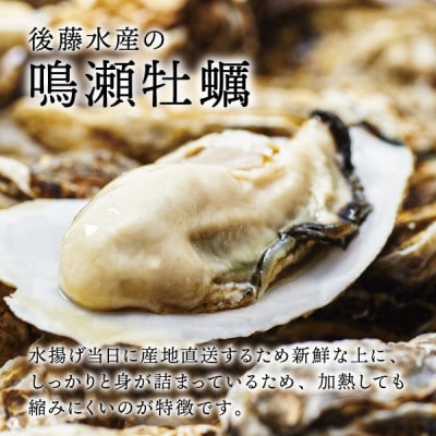 【先行受付】奥松島のブランド牡蠣 後藤水産の『鳴瀬牡蠣』殻付き(加熱用)30個 カキナイフ1本付き