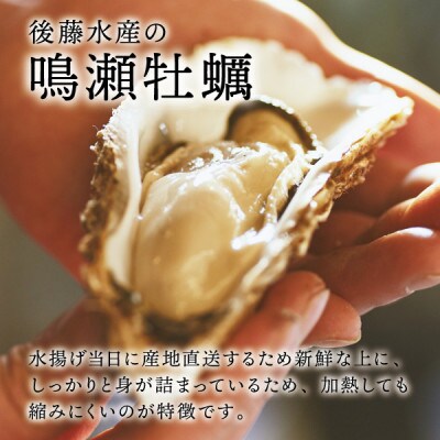 【先行受付】ご家庭で浜の味わい!『鳴瀬牡蠣のカンカン焼セット』後藤水産 殻付き 約2.5kg