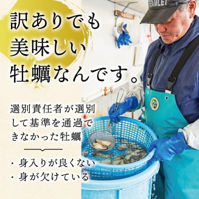 【先行受付】ご家庭用『鳴瀬牡蠣』むき身(加熱用)2kg|奥松島のブランド牡蠣
