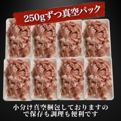 【小分け包装】豚肉切り落とし　創業70年老舗精肉店の厳選仕入れ　2kg　下味付き