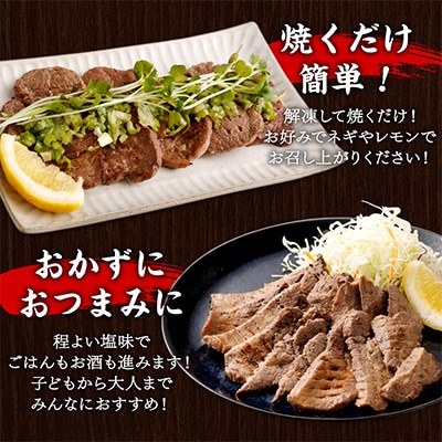 【2ヵ月毎定期便】仙台名物牛タン堪能贅沢セット・極全5回