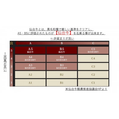 【最高級5ランク　仙台牛】　シャトーブリアン　3枚400g