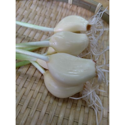 仙台いずみ泉ヶ岳にんにく200g×3パック