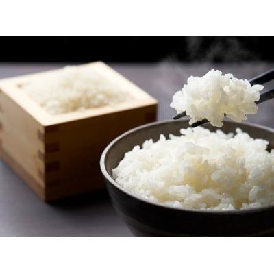 めぐりん米(白米) 10kg