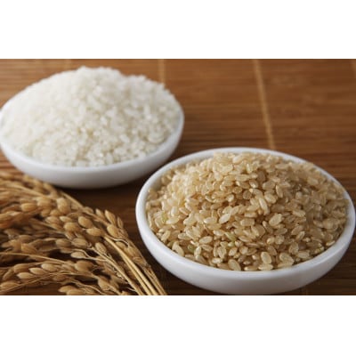 【食べ比べ】めぐりん米4kgセット(白米2kg・玄米2kg)