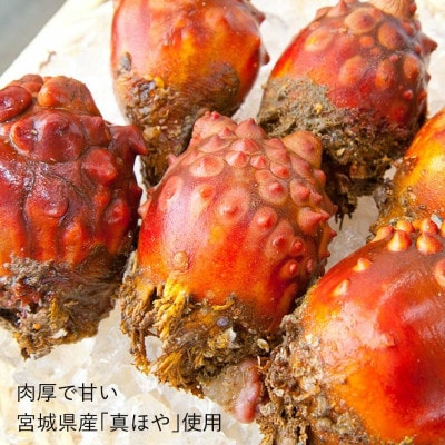 ホヤ珍味3種セット