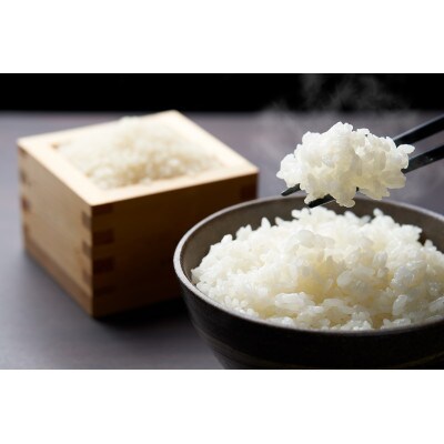 【令和7年産新米先行予約】めぐりん米(白米) 20kg