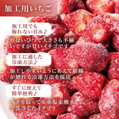 宮城県産 完熟冷凍いちご 4kg(1kg×4袋)【加工用・ご家庭用】ヘタ無しで便利♪通年出荷