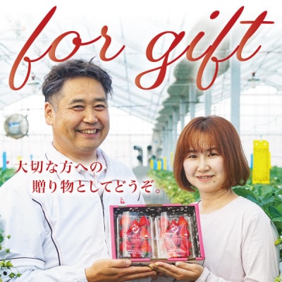 【贈答用】完熟朝摘み『ヒルズいちご』ノーマルサイズ(2パック入り)生産者直送便 宮城県産