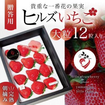 【贈答用黒箱入り】完熟朝摘み『ヒルズいちご』35g以上のBIGサイズ(大粒12粒入り)生産者直送便