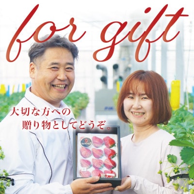 【贈答用黒箱入り】完熟朝摘み『ヒルズいちご』35g以上のBIGサイズ(大粒12粒入り)生産者直送便