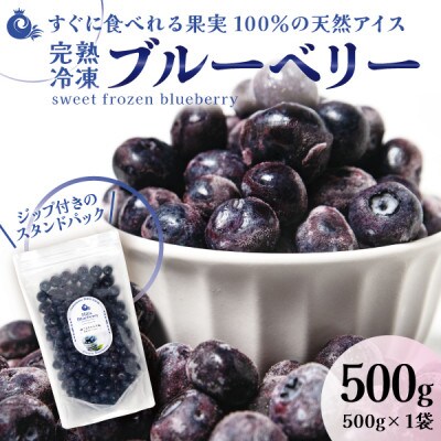 完熟朝摘み冷凍ブルーベリー『こおりヒルズ』約500g【サクサク食感・急速冷凍】宮城の農家から直送