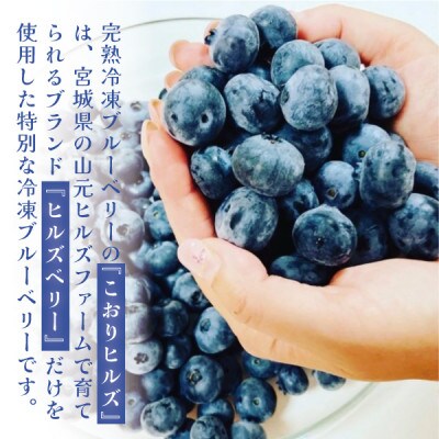 完熟朝摘み冷凍ブルーベリー『こおりヒルズ』約500g【サクサク食感・急速冷凍】宮城の農家から直送