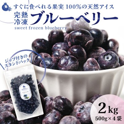 完熟朝摘み冷凍ブルーベリー『こおりヒルズ』約2kg【サクサク食感・急速冷凍】宮城の農家から直送