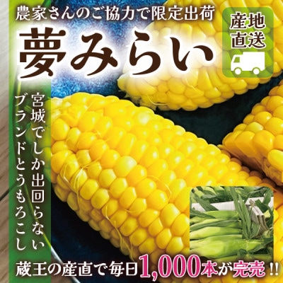 【蔵王の産直で毎日1000本完売】生でも甘い♪行列ができるトウモロコシ『夢みらい』20本