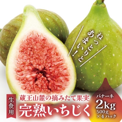 【大粒生食用】完熟いちじく約2kg バナナのようにネットリ甘い バナーネ
