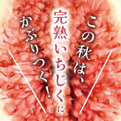 【大粒生食用】完熟いちじく約2kg バナナのようにネットリ甘い バナーネ