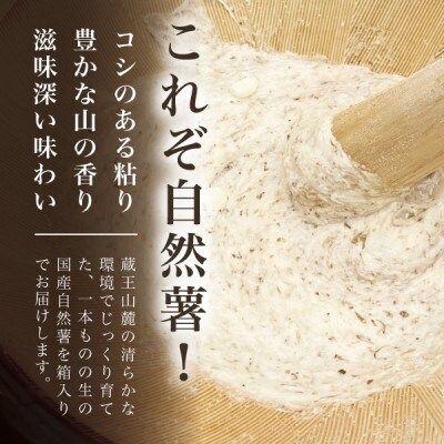蔵王の雪下自然薯 1本【1本あたり700g～1kg】箱入り・贈答利用可能・とろろもオススメ・処理済み