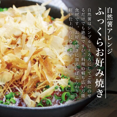 蔵王の雪下自然薯 1本【1本あたり700g～1kg】箱入り・贈答利用可能・とろろもオススメ・処理済み