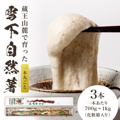 蔵王の雪下自然薯 3本【1本あたり700g～1kg】箱入り・贈答利用可能・とろろもオススメ・処理済み