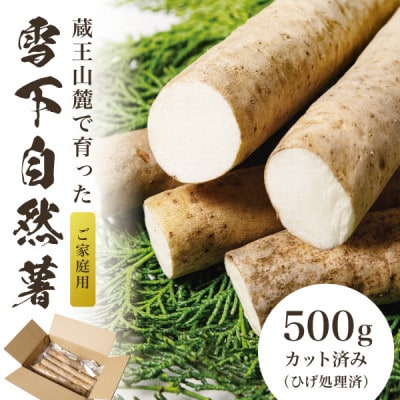 蔵王の雪下自然薯 約500g【カット・切り芋】ご自宅ご家庭用・とろろもオススメ・処理済み