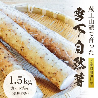 蔵王の雪下自然薯 約1.5kg【カット・切り芋】ご自宅ご家庭用・とろろもオススメ・処理済み