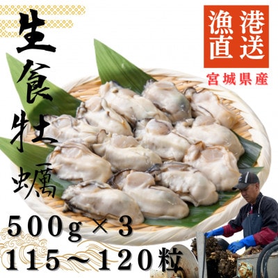 宮城県牡鹿半島産　鮮生牡蠣　500g×3