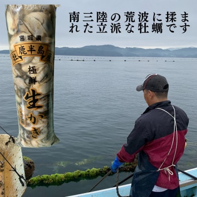 宮城県牡鹿半島産　鮮生牡蠣　500g×3
