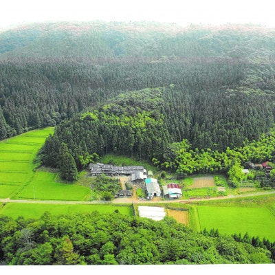 宮城県認証米「だて正夢」「ひとめぼれ」「つや姫」精米 各10kg