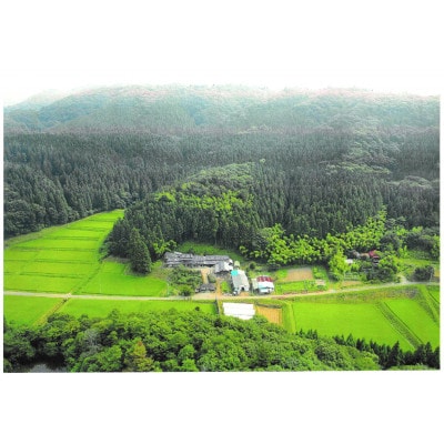 宮城県産だて正夢ひとめぼれ計10kgセット